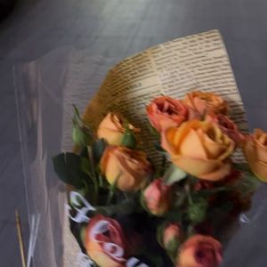 世界正中（cover：陈粒改词版）