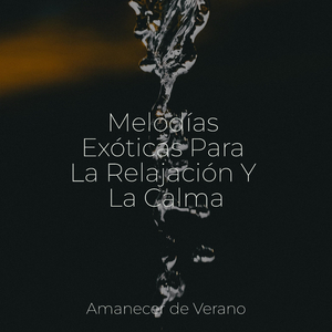 Susurros Melódicos del Océano