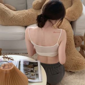 我被爱判处终身孤寂