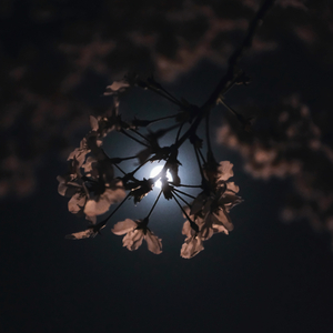 추억이 생각나는 날