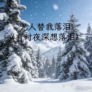 无人替我落泪（有时夜深想落泪）