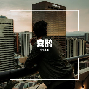 喜鹊