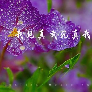 我见真武见真我