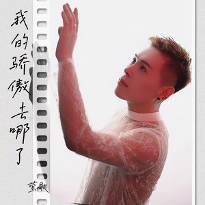 我的骄傲去哪了