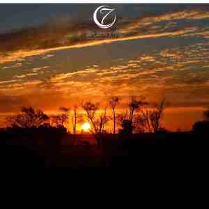 前路 (手碟｜静心曲)