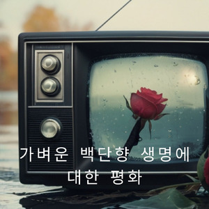 마음의 근원은 생명과 교차한다