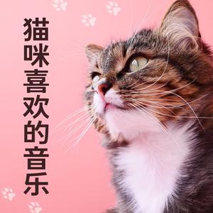 小猫听的催眠曲