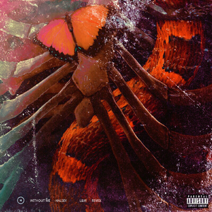 Halsey-Without Me（L&W Bootleg）（L&W remix）