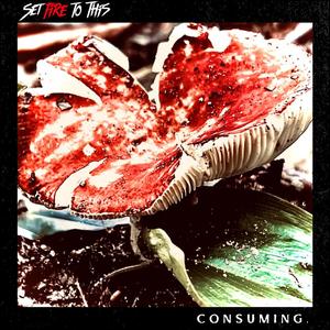 Consuming