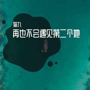 《再也不会遇见第二个她》