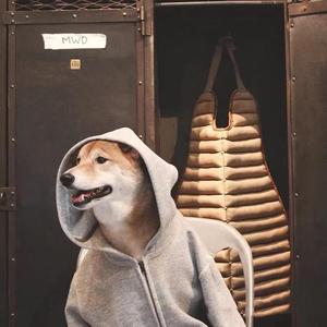 神不弄通