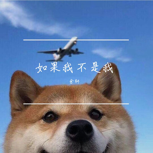 如果我不是我（翻自 吴昱翰）