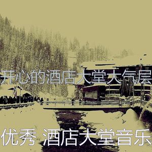 优美酒店大堂器乐