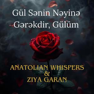 Gül Sənin Nəyinə Gərəkdir, Gülüm (feat. Ziya Garan)