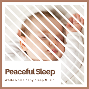 Gentle Baby Long Sleep Algorithmic Inducer Long