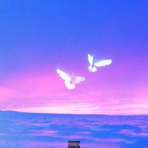 折翅鸟(Prod.Miler)