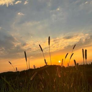 Run toward sunset