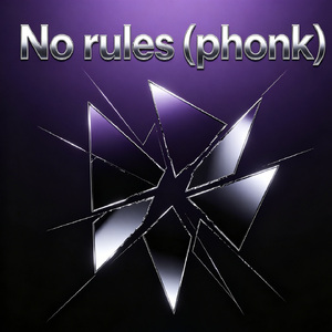 No rules (phonk)