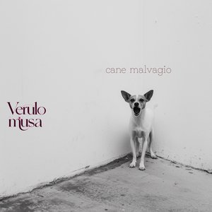 Cane Malvagio