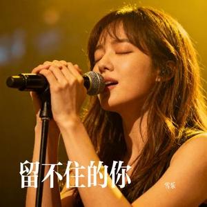 留不住的你