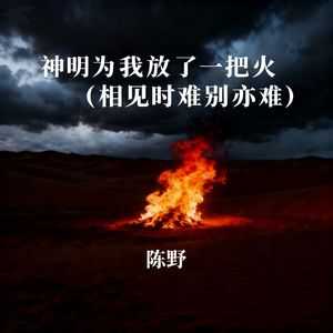 神明为我放了一把火 (相见时难别亦难)