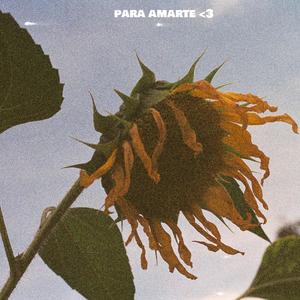Para Amarte