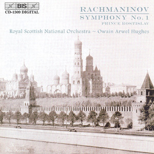 Symphony No. 1 in D Minor, Op. 13: II. Allegro animato