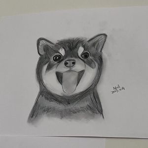 黑择明（NEIL版）