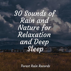 Lakeside, Waves, Lapping, Birds