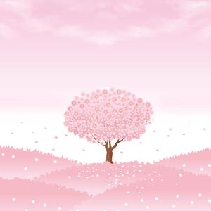 樱落如雨（vocal ver.）