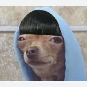 大风车支悠悠滴转