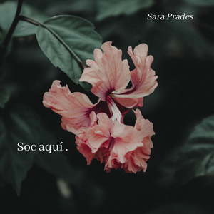 Soc aquí