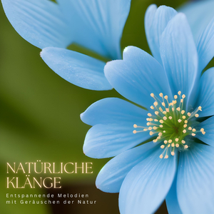 Innere Harmonie Finden