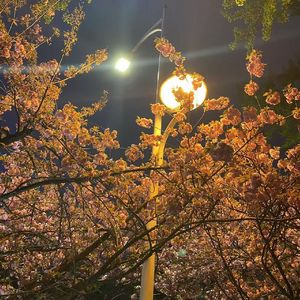 风的自由(Prod by YeahRico)