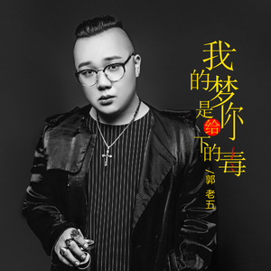 我的梦是给你下的毒