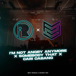 Im Not Angry Anymore X Somebody That X Cari Cabang