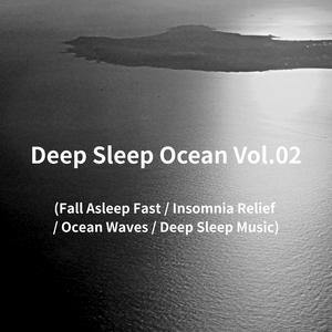 DEEP SLEEP H