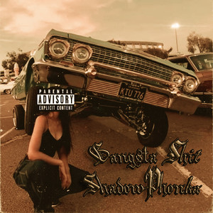 Gangsta Shit