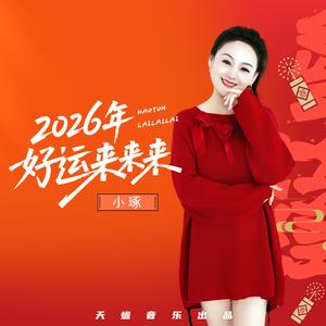2026年好运来来来（DJ彭锐版）