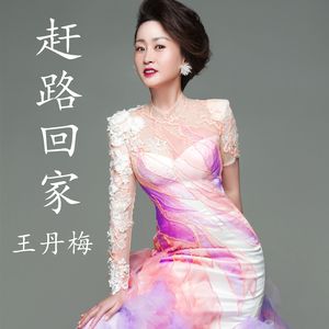 赶路回家