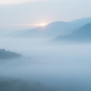 晨雾启幕