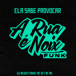 Ela Sabe Provocar (feat. DJ Negritinho, MC GF & Mc Rd)