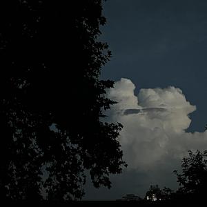 谢谢惠顾（demo）