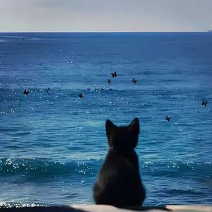 黑洞里的甜与咸