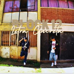 Block 12 (feat. Triebal)