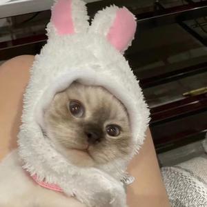 Love story（Feat. 甜味小怡）(Prod.費奈爾蘭德)