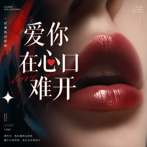 爱你在心口难开（DJ车载版）