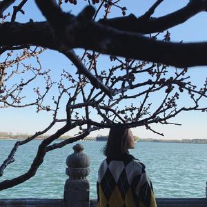 椰风摇蓝了大海