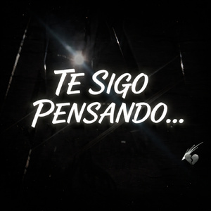 TE SIGO PENSANDO...