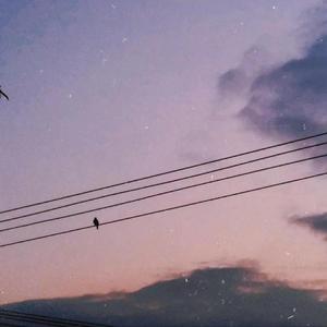 今 天 也 不 甜Ꮺ